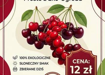 Sprzedam czereśnie z własnego ogrodu ekologiczne naturalne