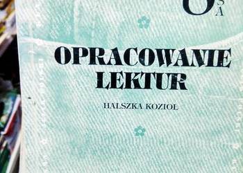 Opracowanie lektur szkolnych 8 polski korepetycje Opracowanie lektur szkolnych 8 polski korepetycje