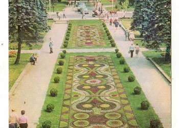 CIECHOCINEK DYWAN KWIATOWY 2