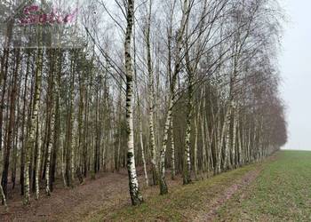 Atrakcyjna działka z warunkami zabudowy w spokojnej okolicy!