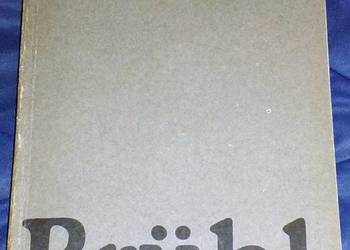 Brühl. Powieść historyczna z XVIII wieku - J. I. Kraszewski