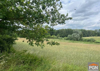 Działka 7300m2 Ościęcin