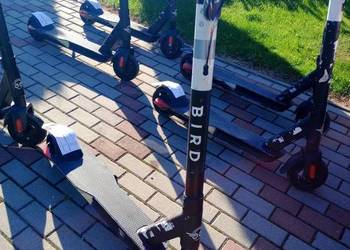 hulajnoga miejska electisan f350 odblokowana bird zero okai es100