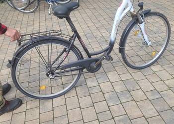 Rower Rehberg damka