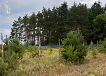 Ogłoszenie działka Wólka Poduchowna 1047 metrów