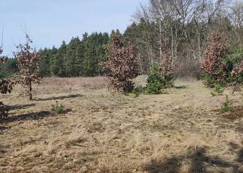 Sprzedam działkę budowlaną - Ludwinowo Dębskie