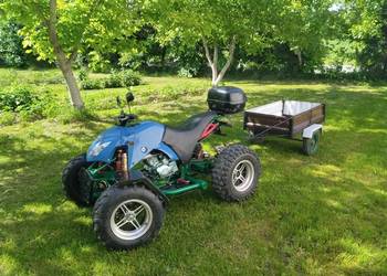 Quad Bashan 250
