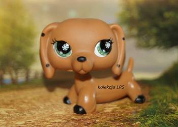 LPS Littlest Pet Shop jamnik monopoly #NO oryginalny pop oryginał #0