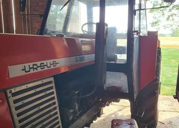 Ursus c385