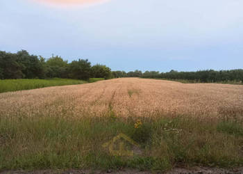 Działka w Nadbrzeżu