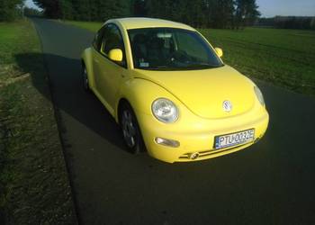 VW New Beetle 1.9