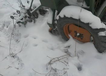 Siewnik zbozowy Amazone