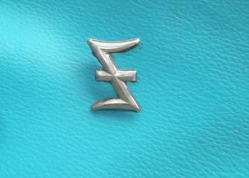 Stara Odznaka ,,Werwolf SS''.