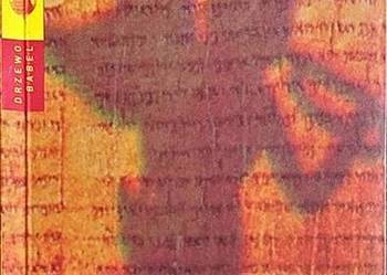 PIĄTA GÓRA - COELHO PAULO