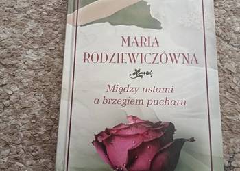 Książka między ustami a brzegiem pucharu