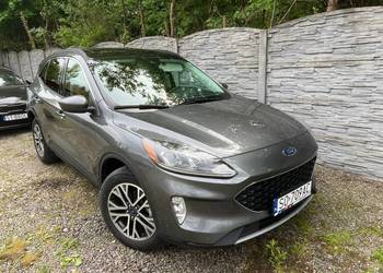 Ford Escape (Kuga) 2.0T 4x4