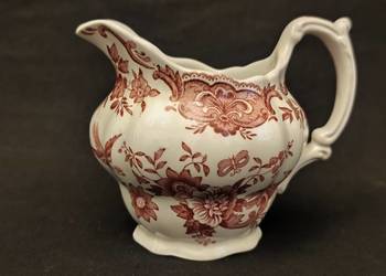 Mlecznik angielski Ridgway Windsor