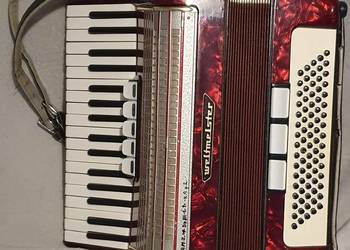 Akordeon weltmeister