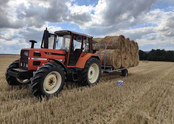 Słoma Pszenna 120x120