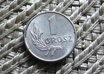 Polska 1 Grosz 1949r