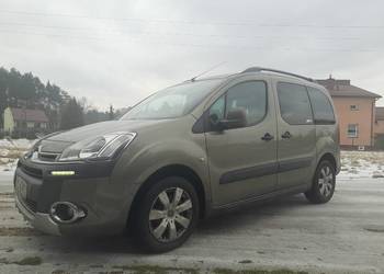 Krajowy,bezwypadkowy,I właściciel