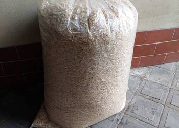 Trociny lipowe naturalne dla gryzoni 200l,  10KG