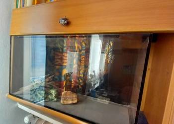 Sprzedam Akwarium Terrarium 100L