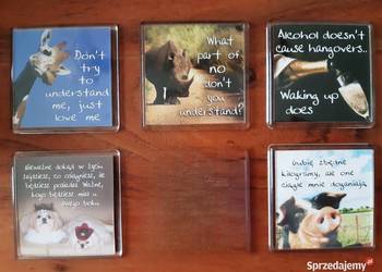 5 sztuk Magnes na lodówkę Motto Gubię zbędne kilogramy 5 sztuk Magnes na lodówkę Motto Gubię zbędne kilogramy