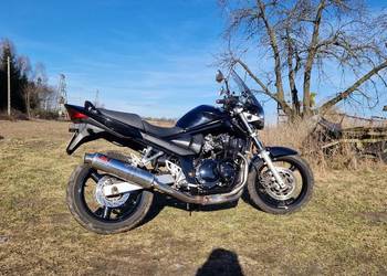 Suzuki gsf 650 suzuki bandit 650