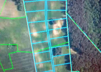 Ogłoszenie działka 3000m2 Nowe Krzywe