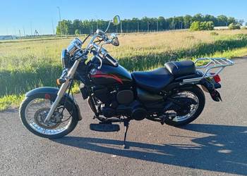 Dealim daystar 125