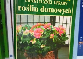Encyklopedia roślin doniczkowych najtańsze książki używane Encyklopedia roślin doniczkowych najtańsze książki używane