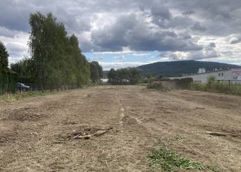 Karczowanie działek pod inwestycje, Marszowice, Wycinka drzew, Mulczer las