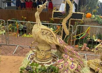 Wieniec Dożynkowy Paw