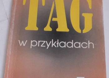 TAG W PRZYKŁADACH - ZAŁĘSKI WITOLD TAG W PRZYKŁADACH - ZAŁĘSKI WITOLD