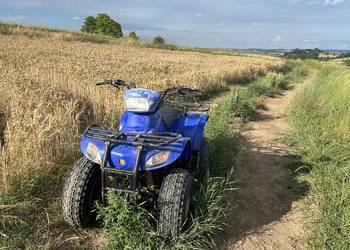 Quad e-ton 100 2t