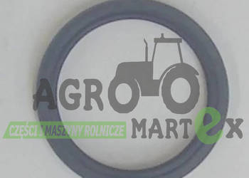 04003686 USZCZELNIACZ HORSCH