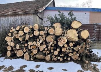 Drewno opałowe miękkie