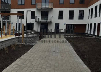 Okolice ul. Motylkowej