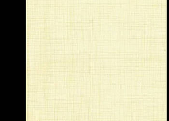 Płytki Bambo beige 33,3 x 33,3, Paradyż, aktualne, Bambus
