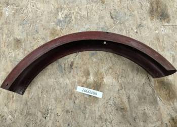 Komar błotnik przedni