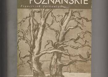 Województwo poznańskie Szkic monograficzny