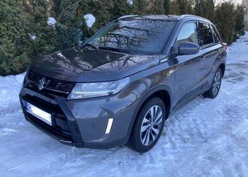 Suzuki Vitara, Salon PL