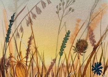 Akwarela 14,5x21 Łąka o zachodzie słońca | Obraz ręcznie malowany