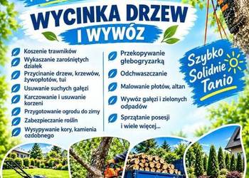 Usługi Ogrodowe Wycinka drzew i wywóz