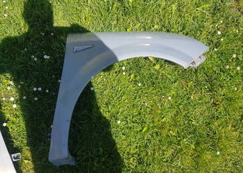 renault scenic II blotnik prawy