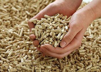 Promocja! Pellet 6 mm z drewna iglastego - promocja
