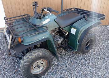 Yamaha Bear Tracker 250