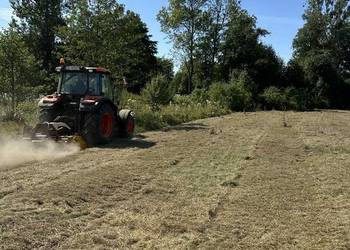 Usługi  czyszczenia działek koszenia kosiarką bijakową mulczerem