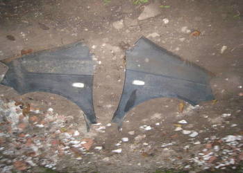 Błotnik lewy lub prawy Hyundai Getz przedlift 02-05